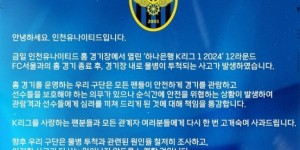 【千亿体育】因首尔FC门将挑衅在先，仁川联球迷投掷水瓶并砸中客队球员要害