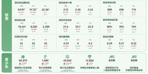 【千亿体育】足协发布2024数字年报：男足职业球员1979人，精英青少年9.2万