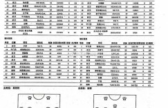 【千亿体育】国安vs大连人首发：三外援对决两外援，张稀哲首发、林良铭替补