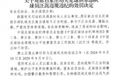 【千亿体育】还能踢球😧汪嵩：我禁足的这一年就拿到了冠军，职业生涯圆满了