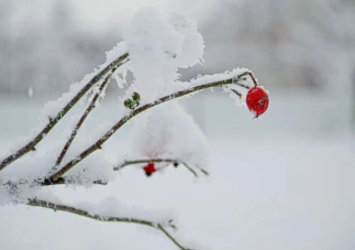 或许雪真的是有魔力的吧