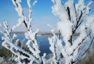 一下雪，你是不是就感到莫名的喜悦呢？