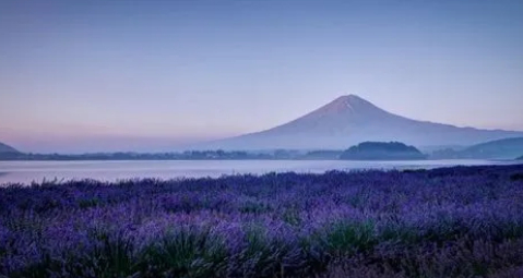 杨柳村老村。