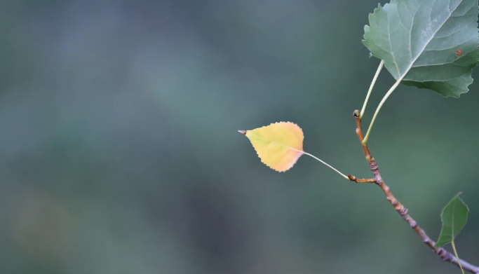 中元节闲话